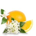 orange-blossome